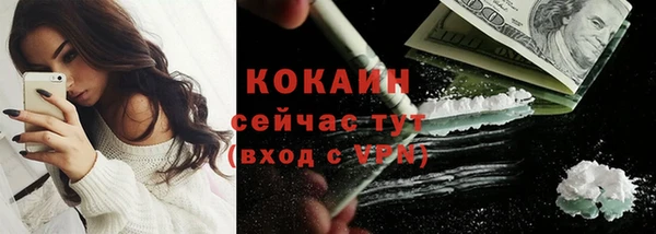 твердый Алексин