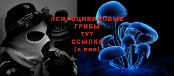 индика Алзамай