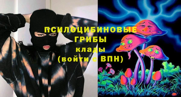 твердый Алексин