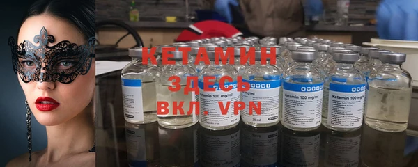 индика Алзамай