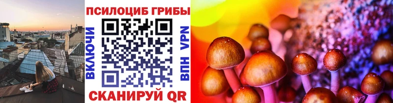 mega вход  купить наркоту  Кольчугино  Галлюциногенные грибы Cubensis 