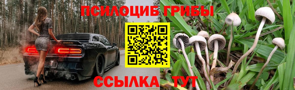 Галлюциногенные грибы прущие грибы  Галлюциногенные грибы GOLDEN TEACHER  Кольчугино  Вход с VPN 